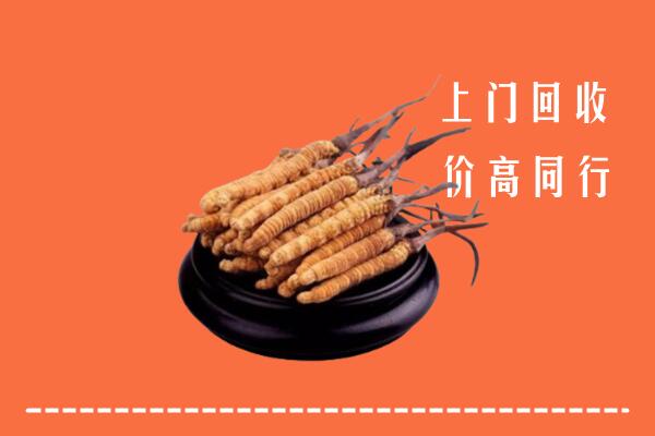 收购行情：襄汾县冬虫夏草回收多少钱每克